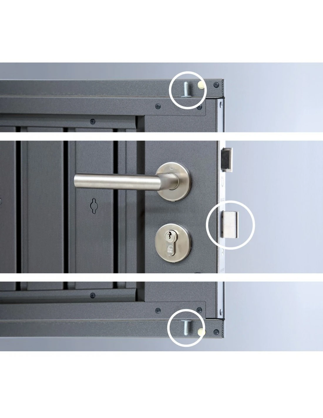 Abri De Jardin Highline BIOHORT Simple Porte De 4.3 à 8.7 M² 14 Abri De Jardin Highline BIOHORT Simple Porte De 4.3 à 8.7 M² – Image 12